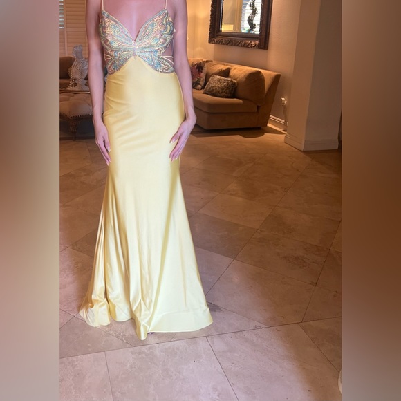 Gorgeous Butterfly Prom Dress - Picture 4 of 4